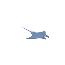 Manta Ray